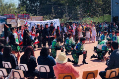 costumbrista202300003