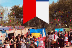 costumbrista202300005